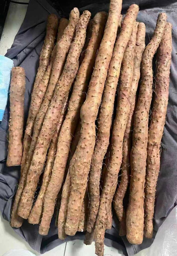 Chinese yam (Nagaimo)